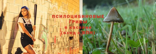 меф VHQ Дмитриев