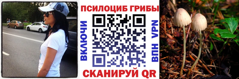 Галлюциногенные грибы прущие грибы  Михайлов 